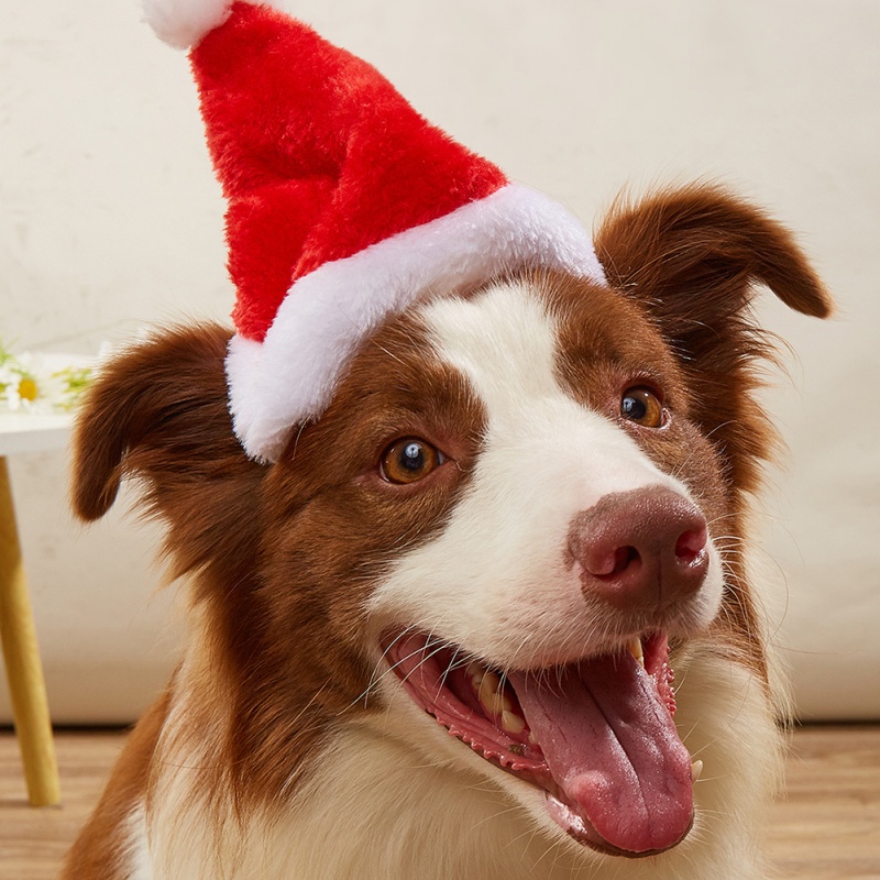 Santa Hat Plush - Sombrero para perros y gatos, adornos